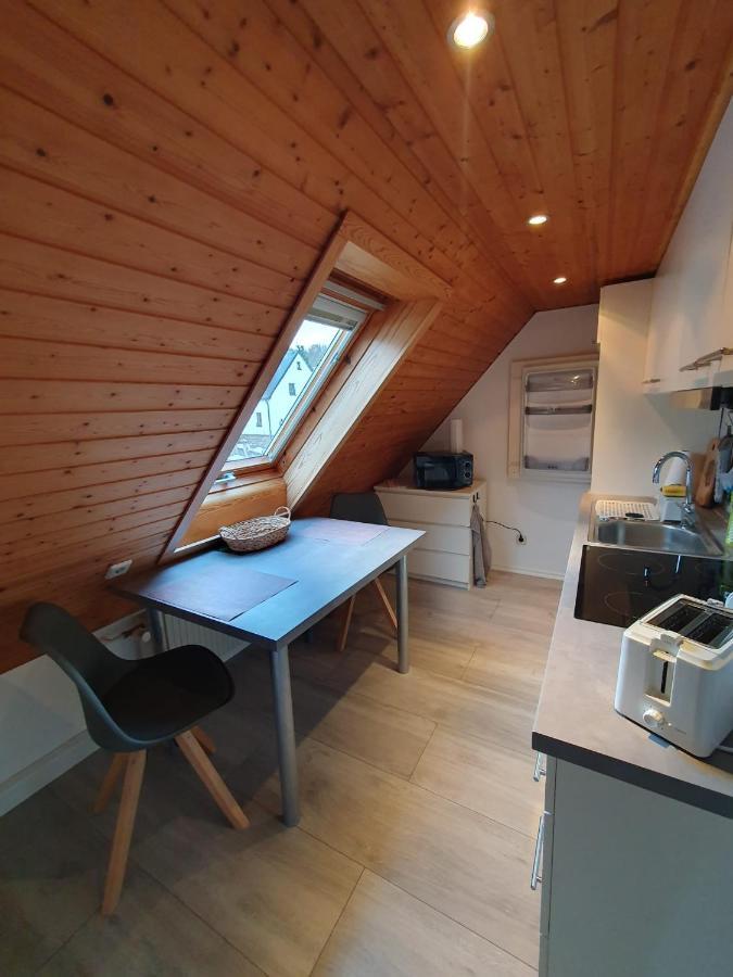 Ferienwohnung Haenel Antonshohe 외부 사진