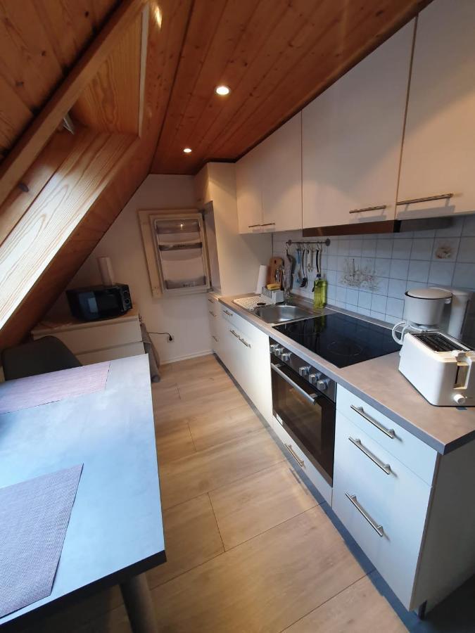 Ferienwohnung Haenel Antonshohe 외부 사진